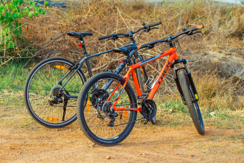 Village Bike Tour & Birdwatching in Alappey