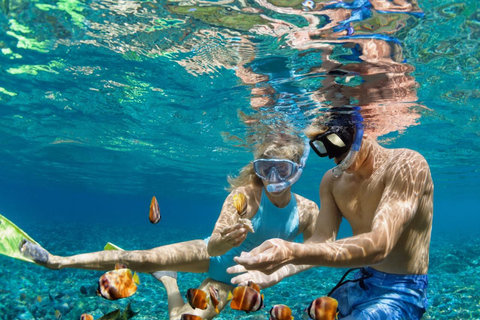 Sharm El-Sheikh: Pvt Speedboat to Tiran Island Snorkel/Dive
