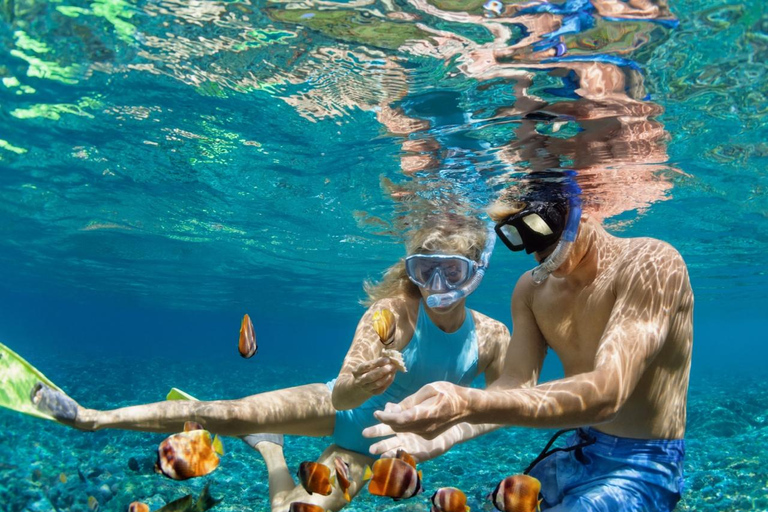 Sharm El-Sheikh: Pvt Speedboat to Tiran Island Snorkel/Dive