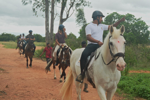 Bangalore: Paardrijles, buitenrit met eten voor fijnproevers