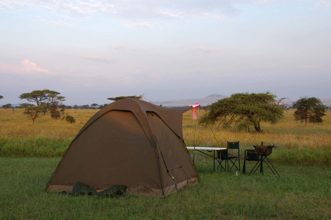 A 4-Days Budget Camping Safari from Arusha