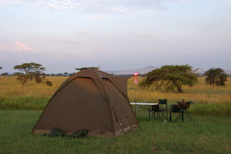 A 4-Days Budget Camping Safari from Arusha
