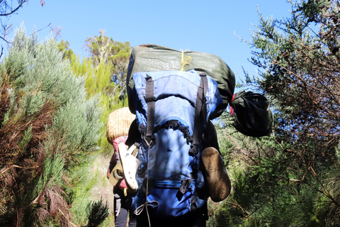 Kilimanjaro: Följ med på 6-dagars Kili Trip via Marangu Route