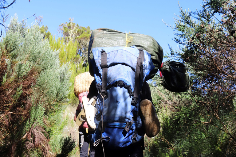 Kilimandjaro : Participez à l&#039;excursion de 6 jours au Kili via la route de Marangu