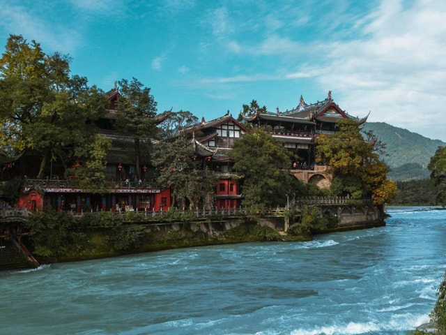 Wolong Panda Base & Dujiangyan One-Day Private Guided Tour