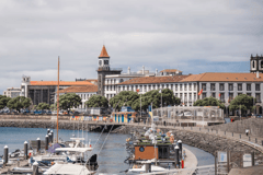 Ponta Delgada: Städtetour und Besuch einer Ananasplantage