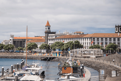 Ponta Delgada: City Tour and Pineapple Plantation Visit