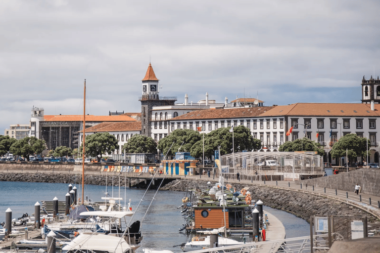 Ponta Delgada: City Tour and Pineapple Plantation Visit