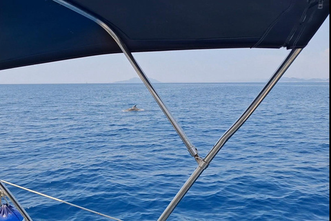 دوبروفنيك - جولة خاصة لمدة نصف يوم بالقارب الشراعي إلى جزر إلافيتي