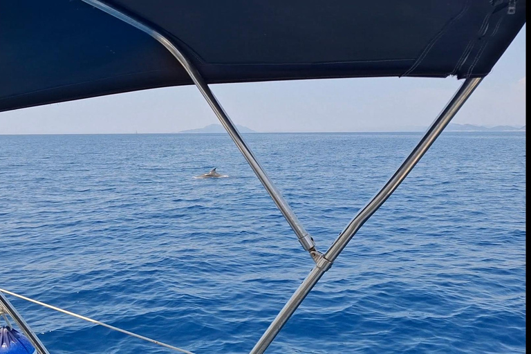 دوبروفنيك - جولة خاصة لمدة نصف يوم بالقارب الشراعي إلى جزر إلافيتي