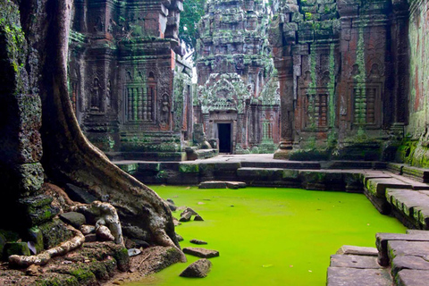 Angkor Wat Highlights and Sunrise Guided Tour from Siem Reap