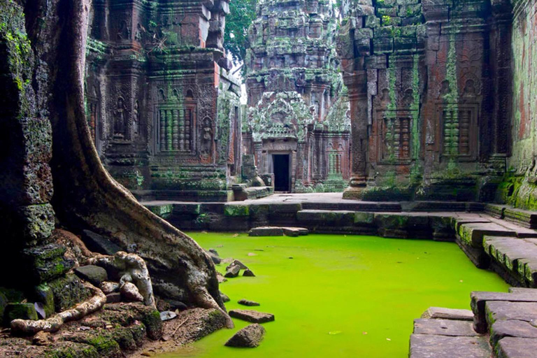 Angkor Wat Highlights und Sonnenaufgang Guided Tour von Siem Reap