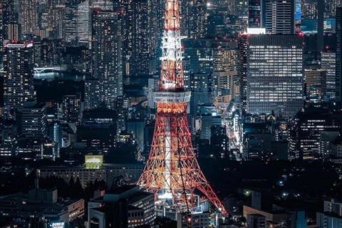 Tokio aanpasbare privétour met auto & busje