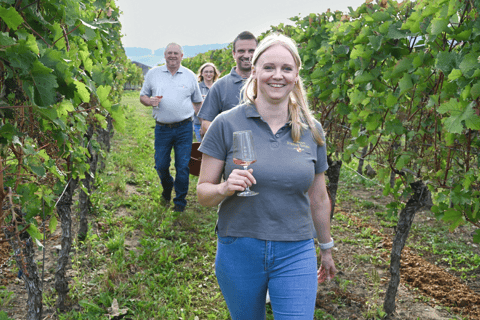 Chocolate and wine tasting at the Stefan Sauer winery in Nordheim am Main