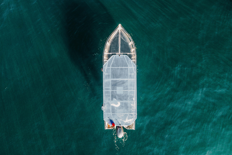 Discover Cabo San Lucas Clear Boat Glass Factory & Tequila