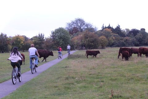 Cambridge: Grantchester Bike Tour