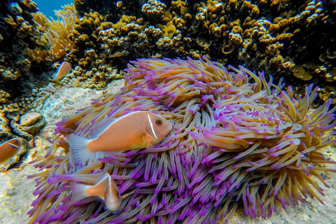 Z Koh Chang: 4 wyspy Snorkel &amp; Beach Tour dużą łodziąRejs wycieczkowy na 4 wyspy: Z transferem do hotelu