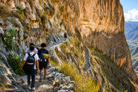 “Colca Canyon Trekking 2D/1N – Andean Experience”