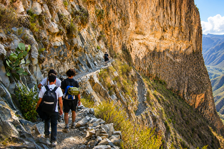 “Colca Canyon Trekking 2D/1N – Andean Experience”