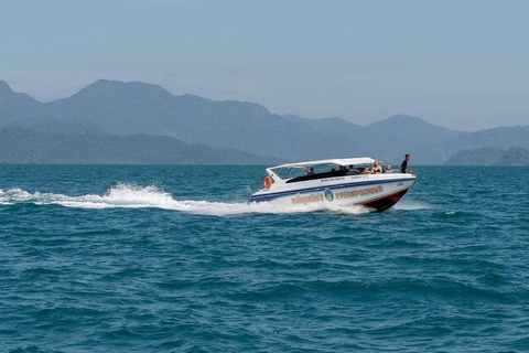 Doha: Speedboot-Abenteuer – 1 Stunde Nervenkitzel30 Minuten mit dem Schnellboot