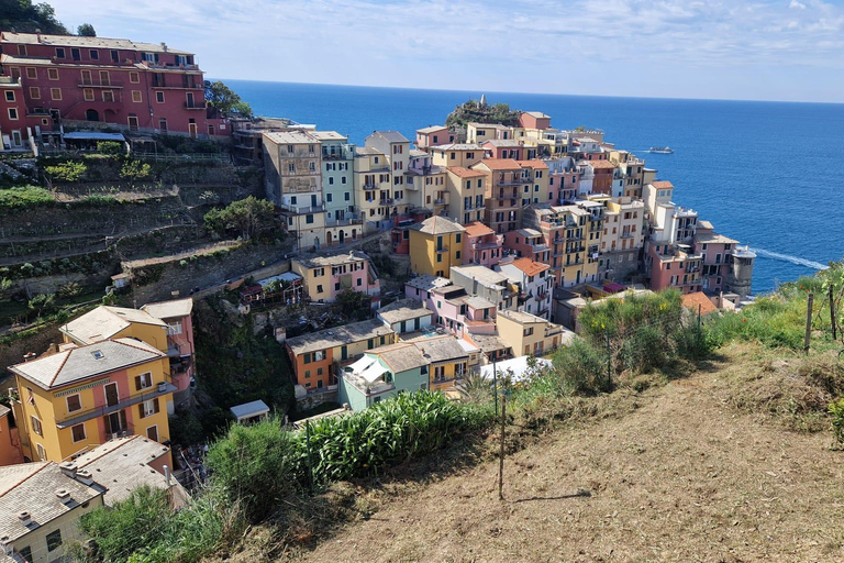 Florence: Cinque Terre & Pisa Day Trip with Transfers ECO-LOGIC Tour of 5 Terre and Pisa