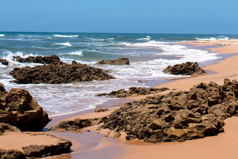 Maputo in 4 days: Elephant Safari, Marine Safari, and Beach Maputo in 4 Days: Elephant Safari, Marine Safari, and Beach