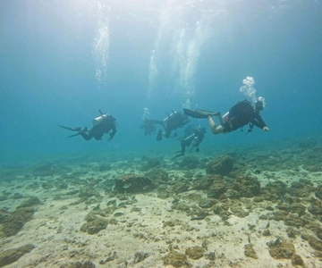 From Abu Dhabi: 2 Dives for Certified Divers with transfer