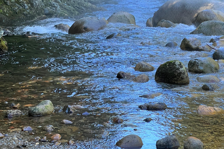 Vancouver: Regenwald-Wasserfall-Wanderung und Hängebrücke