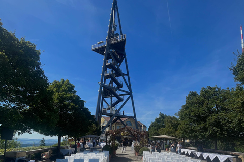 Zurich: Raclette Experience at Uetliberg, Zurich's Viewpoint