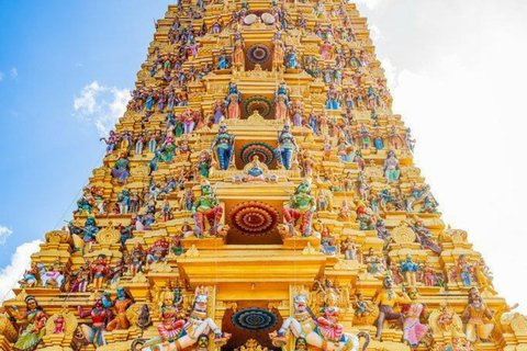 From Kandy: Sigiriya, Dambulla, & Minneriya Private Day Trip