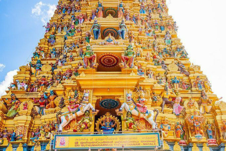 From Kandy: Sigiriya, Dambulla, & Minneriya Private Day Trip