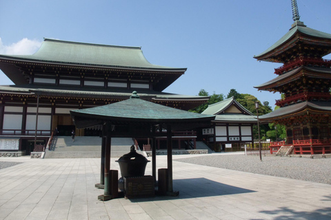 NARITA: excursão a pé, rua Omotesando, templo Narita-san