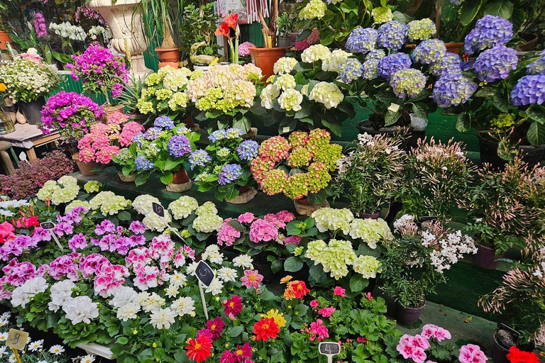 Notre Dame Paris Cathedral Early Access Guided Walking Tour