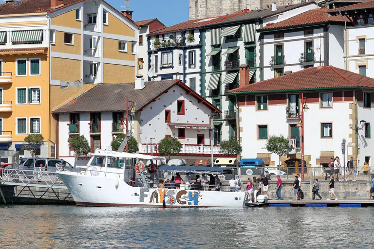 Basque Coast: Flysch Boat Tour or Walking Tour