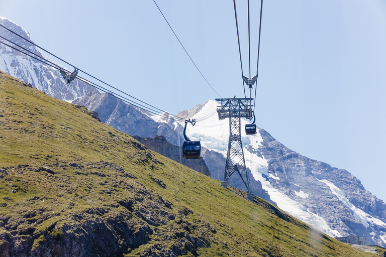 From Zurich: Guided Day Trip to Jungfraujoch with Train Ride