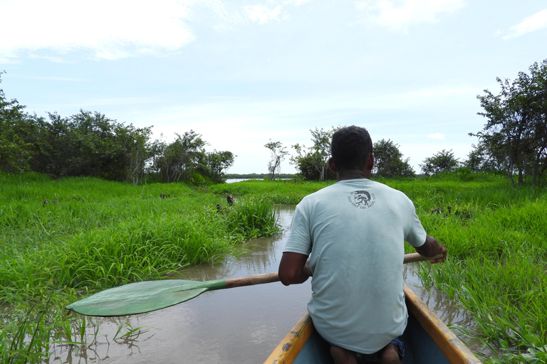 Cartagena: Private tour of bird watching in the Canal del dique