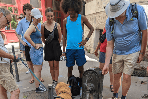 Lyon: Immersive exploration in Old Town with a Local Artist