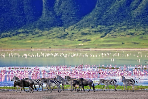 Tour nel Parco Nazionale del Serengeti e nel Cratere di Ngorongoro, partendo da ArushaEsplora il Parco Nazionale del Serengeti e il cratere di Ngorongoro per 3 giorni