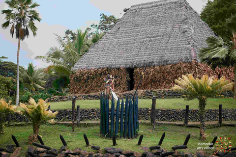 Damodar Arts Village: Spirit of Fiji Tour