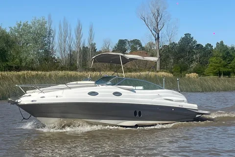 Passeio de barco particular Delta Buenos Aires: Desfruta mais