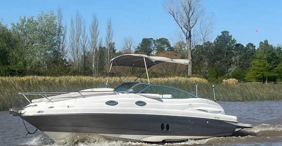 Best of Delta Buenos Aires Private Bootstour: Mehr genießen