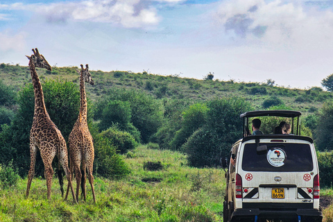 Nairobi National Park Half Day Guided Safaris in 4x4 Vehicle Private Half Day Guided Safaris in 4x4 Open roofed Van