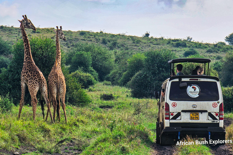 Nairobi National Park Half Day Guided Safaris in 4x4 Vehicle Private Half Day Guided Safaris in 4x4 Open roofed Van