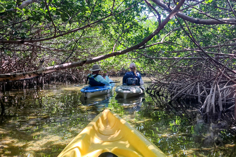 Key West: Privat guidad kajak tur