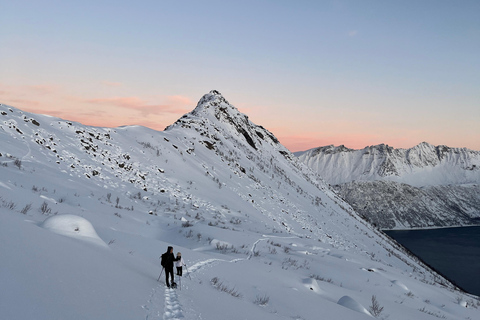 Tromsø: Snowshoe Hike on Senja to Hesten with Views of Segla From Tromsø: Snowshoe Hike to Hesten