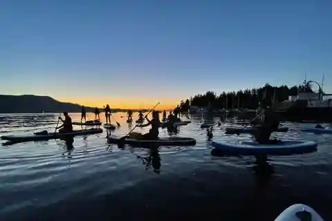 Brentwood Bay: Bioluminescence Tour