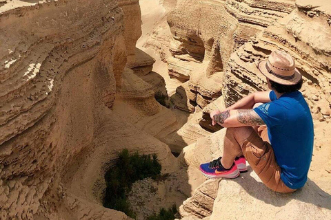 Desde Ica: Excursión al Cañón de los Perdidos