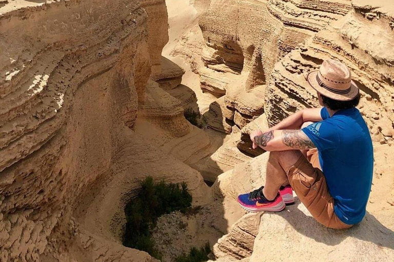 Desde Ica: Excursión al Cañón de los Perdidos