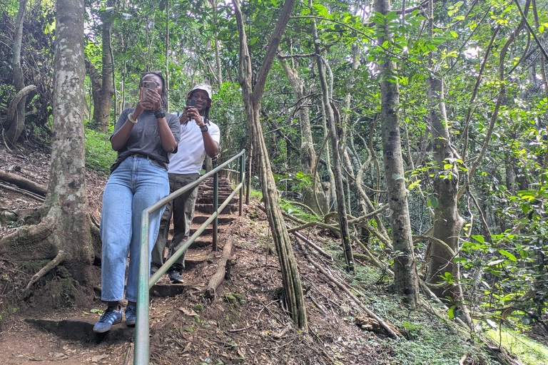 Karura Forest walking tour with nature and waterfalls.