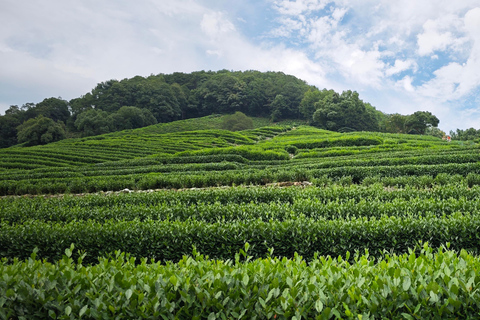 From Shanghai: Hangzhou Private Day Trip with Bullet Train